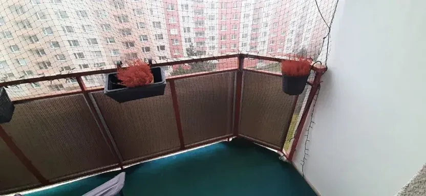 Pronájem bytu 2+1, Prostějov, Jana Zrzavého, 56 m2