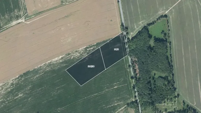 Prodej pole, Přibyslav, 4703 m2