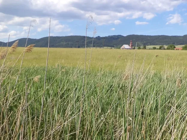 Dražba pozemku, Meziměstí, 2273 m2