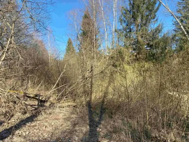 Dražba pozemku, Čachrov, 10377 m2