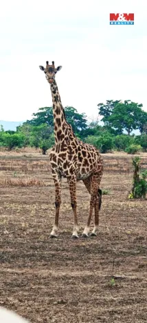 Prodej rodinného domu, Ostrov, Klínovecká, 115 m2