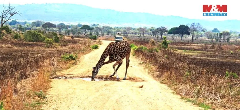 Prodej rodinného domu, Ostrov, Klínovecká, 115 m2