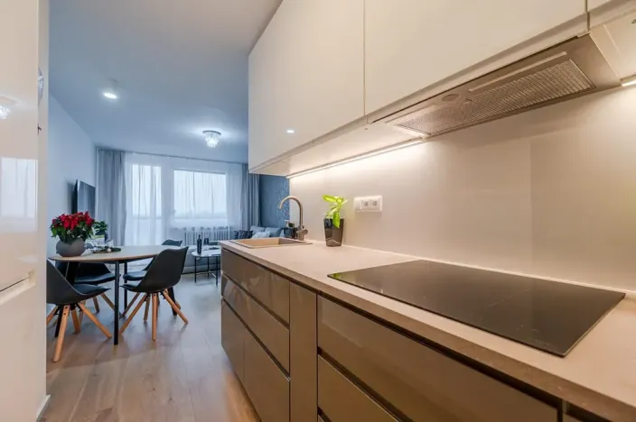 Prodej bytu 3+kk, Praha - Chodov, Modletická, 60 m2