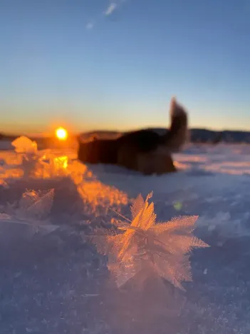 Prodej rodinného domu, Kvilda, 408 m2