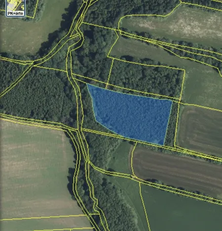 Prodej lesa, Lánov - Horní Lánov, 11269 m2