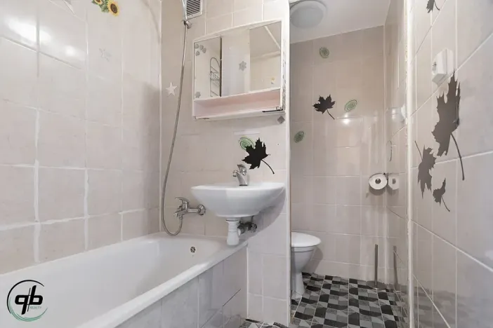 Prodej bytu 1+1, Frýdek-Místek, Ostravská, 30 m2