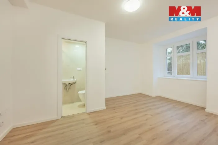 Prodej bytu 2+kk, Praha - Žižkov, Jana Želivského, 46 m2