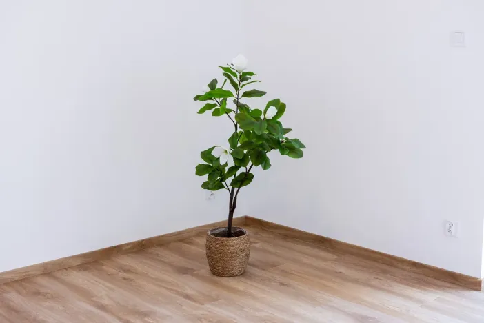 Prodej rodinného domu, Těrlicko - Horní Těrlicko, Farní, 100 m2