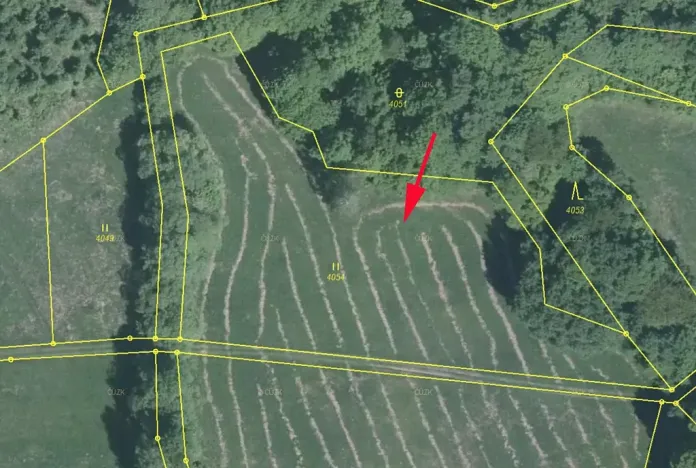 Prodej podílu louky, Nedašov, 1151 m2