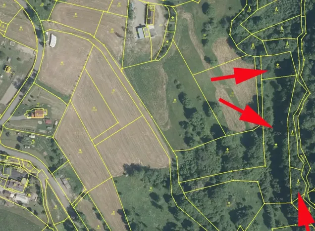 Prodej lesa, Železný Brod, 6562 m2