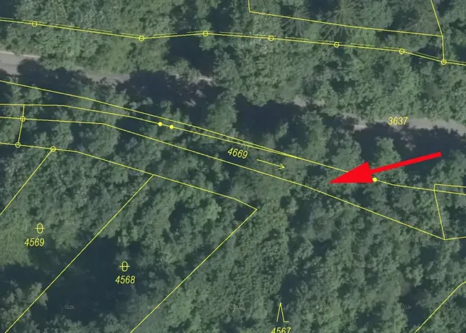 Prodej lesa, Železný Brod, 437 m2