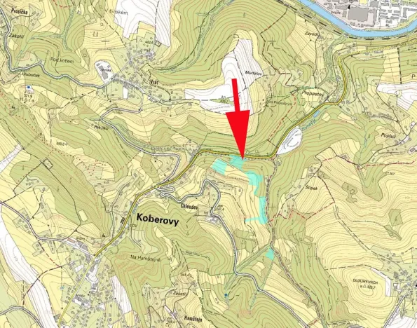 Prodej lesa, Železný Brod, 437 m2