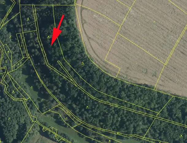 Prodej lesa, Skuteč, 8078 m2