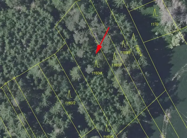 Prodej lesa, Trhový Štěpánov, 1133 m2