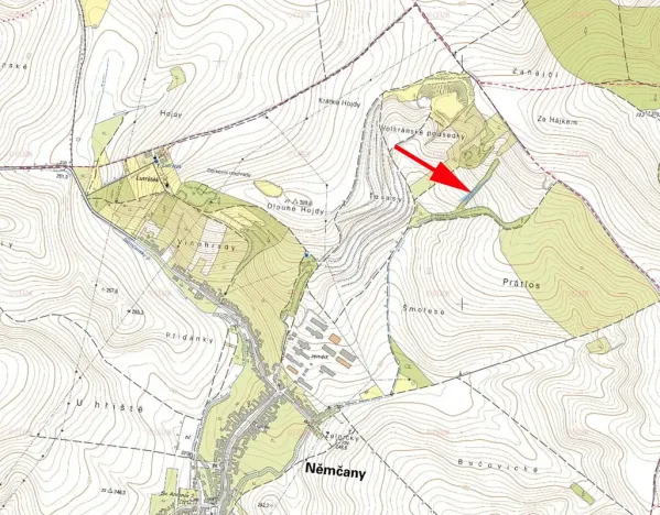 Prodej lesa, Němčany, 1773 m2