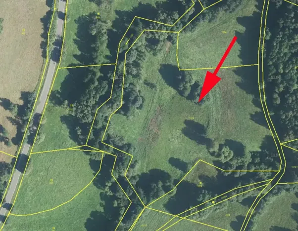 Prodej louky, Bernartice, 15642 m2