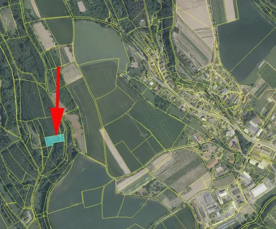 Prodej podílu louky, Svijanský Újezd, 1597 m2