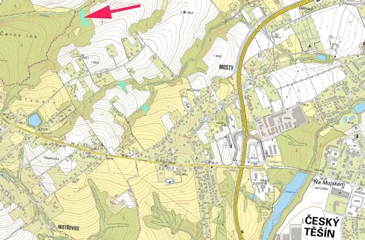 Prodej lesa, Český Těšín, 6540 m2