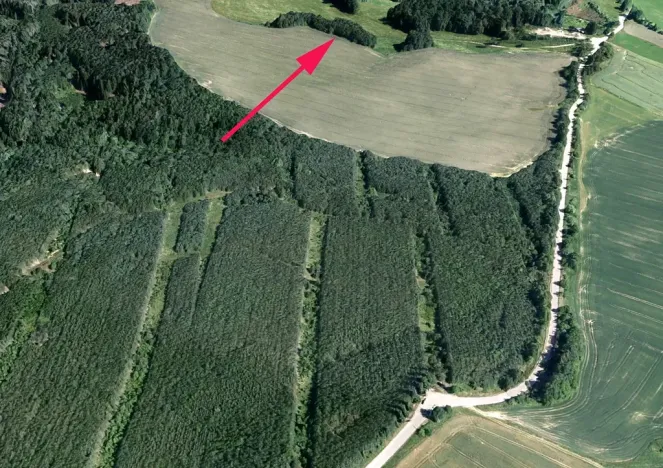 Prodej lesa, Dubnice, 815 m2