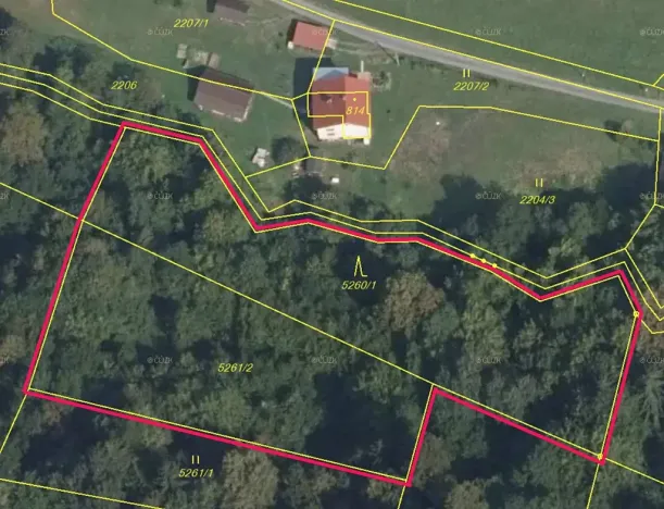 Prodej lesa, Huslenky, 4913 m2