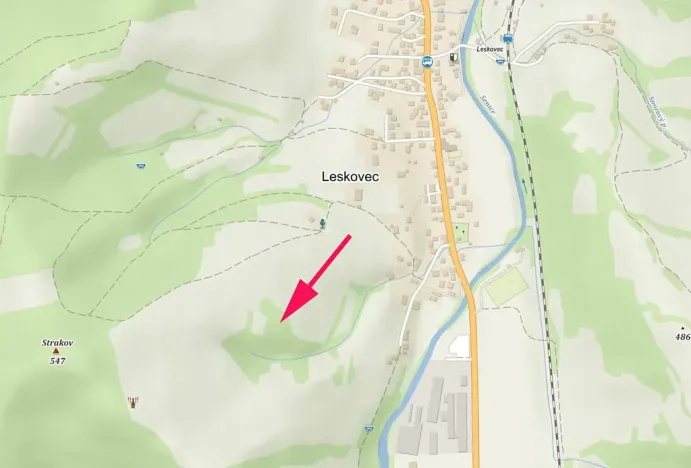 Prodej lesa, Leskovec, 6606 m2