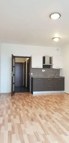 Pronájem bytu 1+kk, Praha - Vysočany, Freyova, 33 m2
