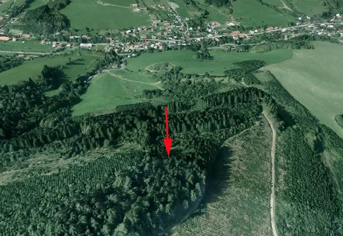 Prodej lesa, Lhota u Vsetína, 1205 m2