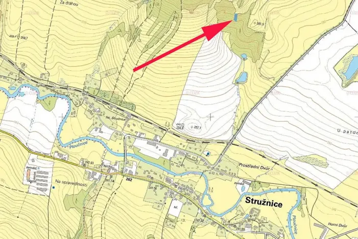 Prodej lesa, Stružnice, 2051 m2