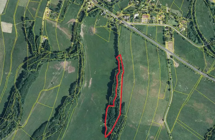 Prodej lesa, Stružnice, 14444 m2
