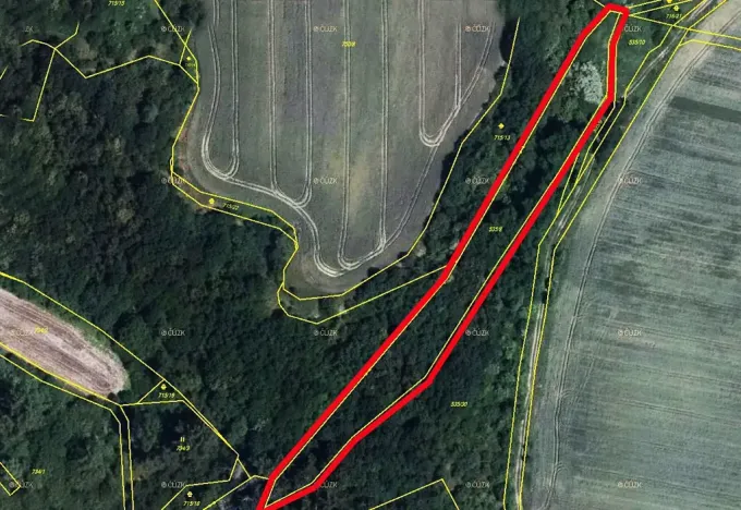 Prodej louky, Staňkovice, 4313 m2