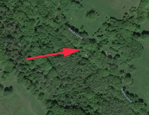 Prodej lesa, Trutnov, 4983 m2