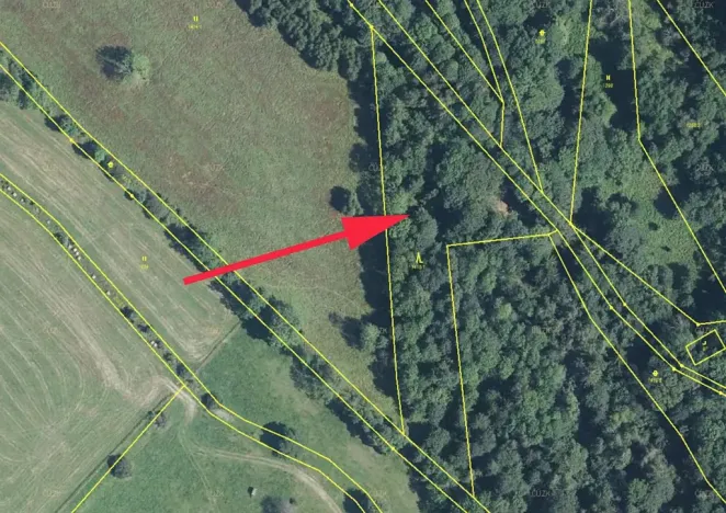 Prodej lesa, Trutnov, 7083 m2