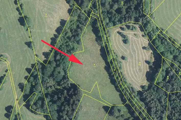 Prodej louky, Trutnov, 9101 m2