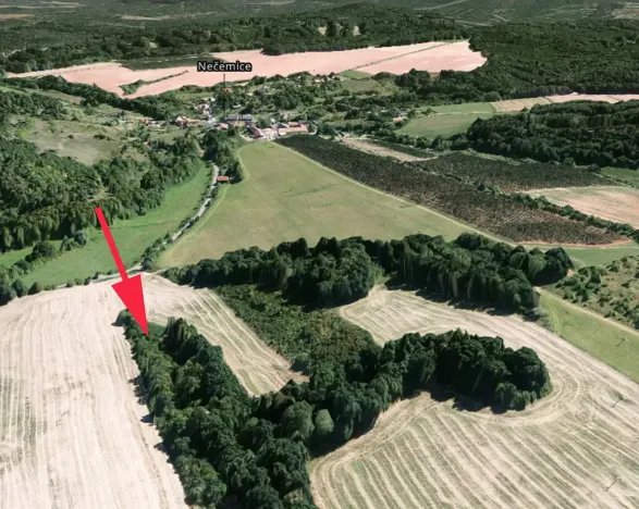 Prodej lesa, Tuchořice, 1477 m2