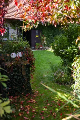 Prodej zemědělské usedlosti, Sklené nad Oslavou, 330 m2