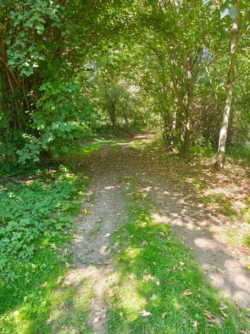 Prodej pozemku pro bydlení, Jedlá, 2598 m2