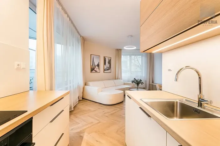 Prodej bytu 2+kk, Brno, Bělohorská, 48 m2