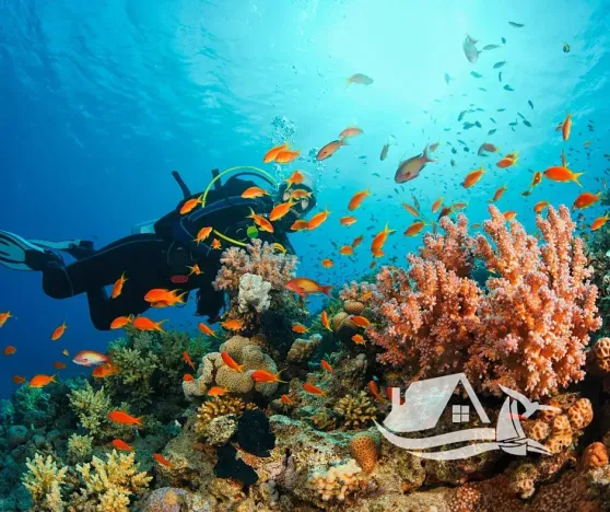 Prodej bytu 2+kk, Pattaya, Thajsko, 53 m2