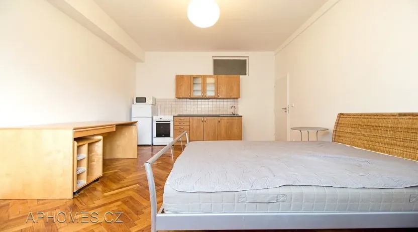 Pronájem bytu 1+kk, Praha - Vršovice, Tolstého, 30 m2