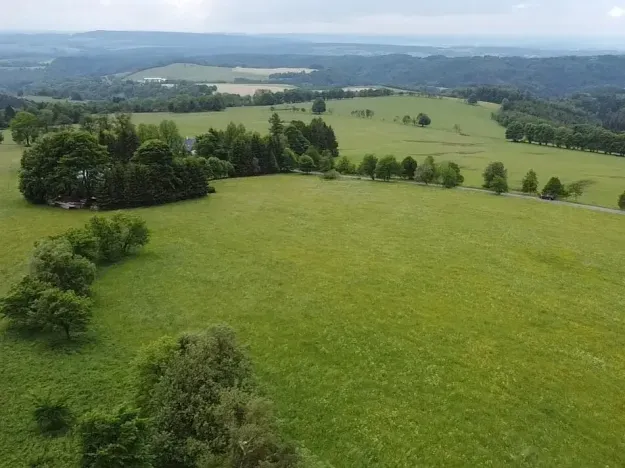 Dražba louky, Říčky v Orlických horách, 1426 m2