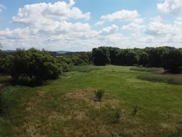 Dražba louky, Střížovice, 2388 m2
