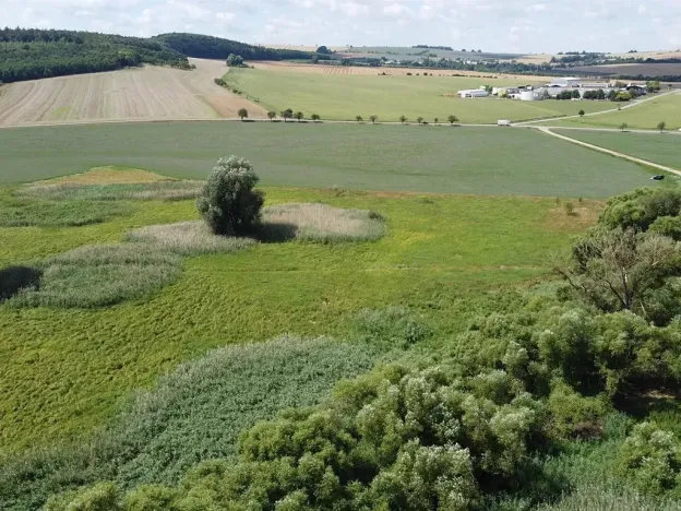 Dražba louky, Střížovice, 2388 m2