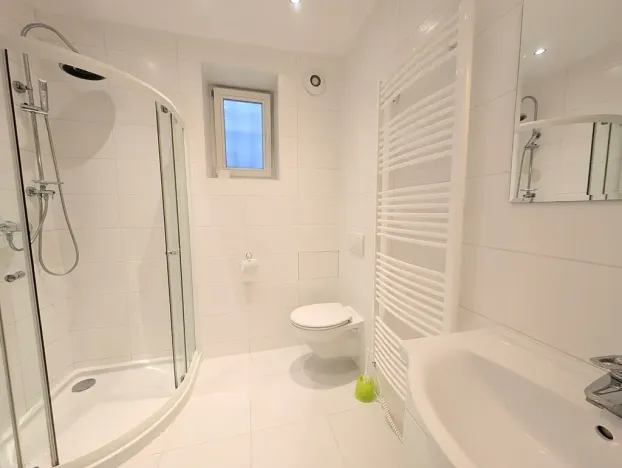 Pronájem bytu 1+kk, Praha - Vinohrady, Bořivojova, 33 m2