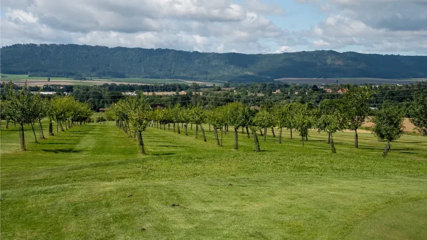 Prodej komerční, Broumov - Velká Ves, Kladská