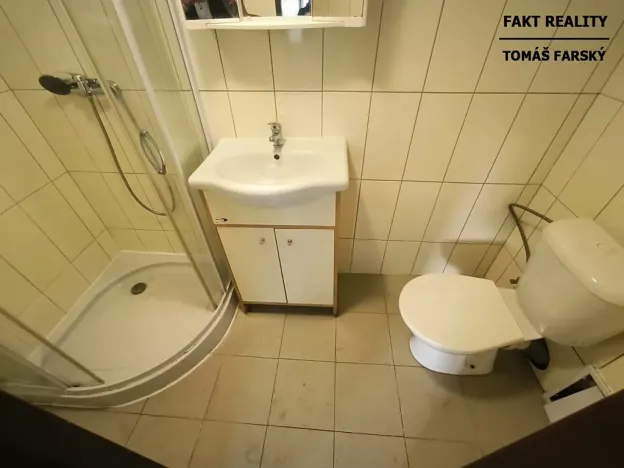 Pronájem bytu 1+kk, Děčín, Teplická, 19 m2