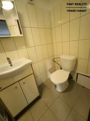 Pronájem bytu 1+kk, Děčín, Teplická, 19 m2