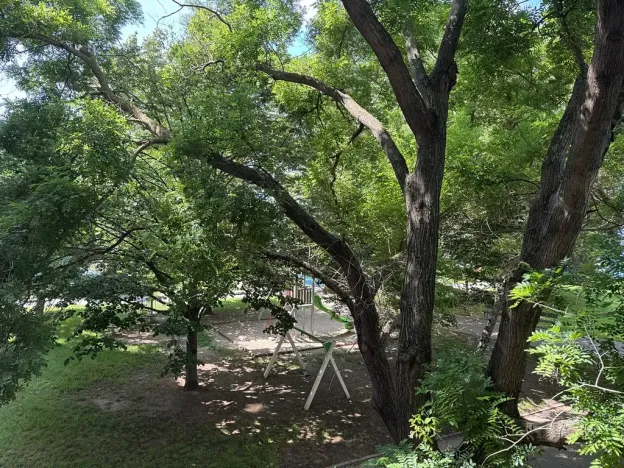 Prodej bytu 4+1, Brno, Strnadova, 80 m2