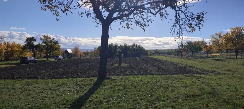 Prodej sadu/vinice, Blučina, 2677 m2
