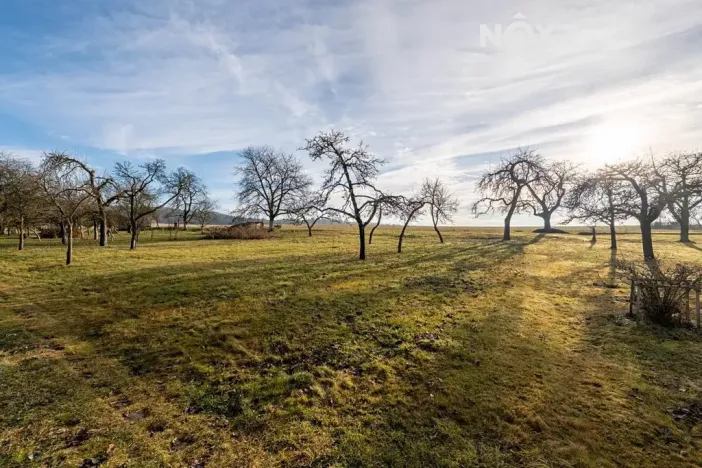 Prodej zahrady, Nové Mitrovice, 1882 m2