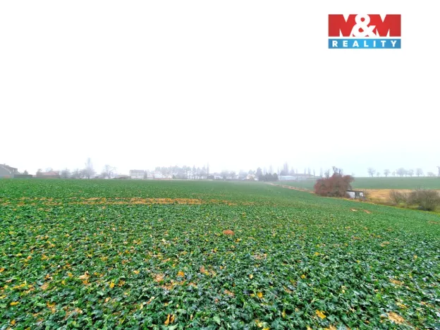 Prodej pozemku pro bydlení, Štěpánkovice, 5343 m2